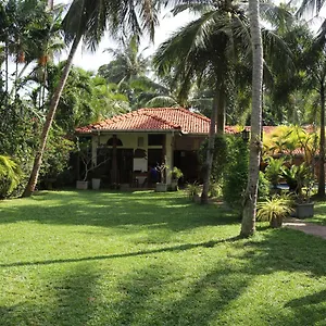 Pavana Negombo